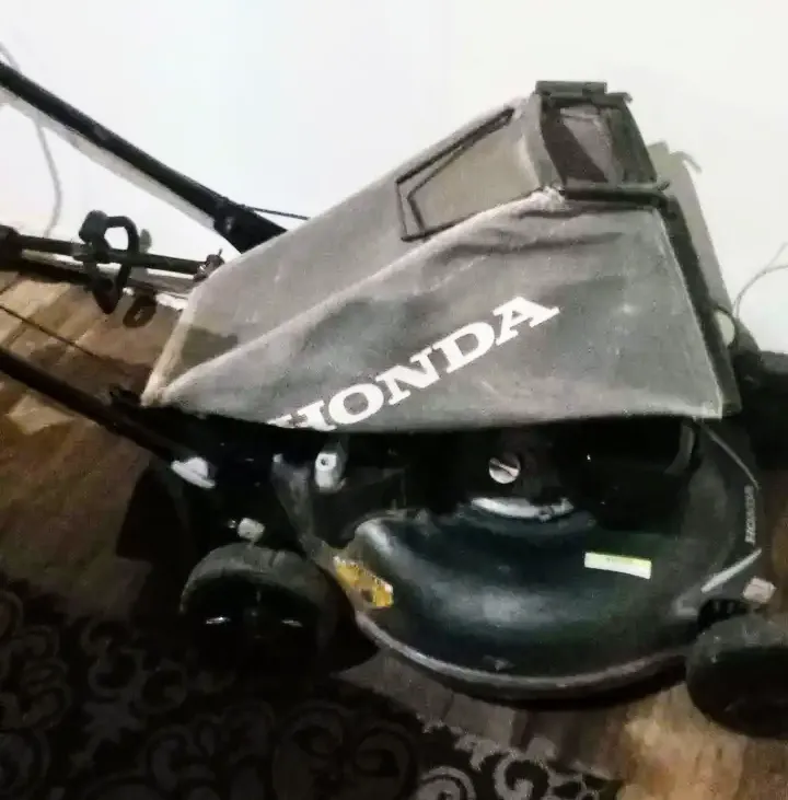 Professional landscape design in Ralls, TX - Mike's Cutting Edge Lawn Care And Services