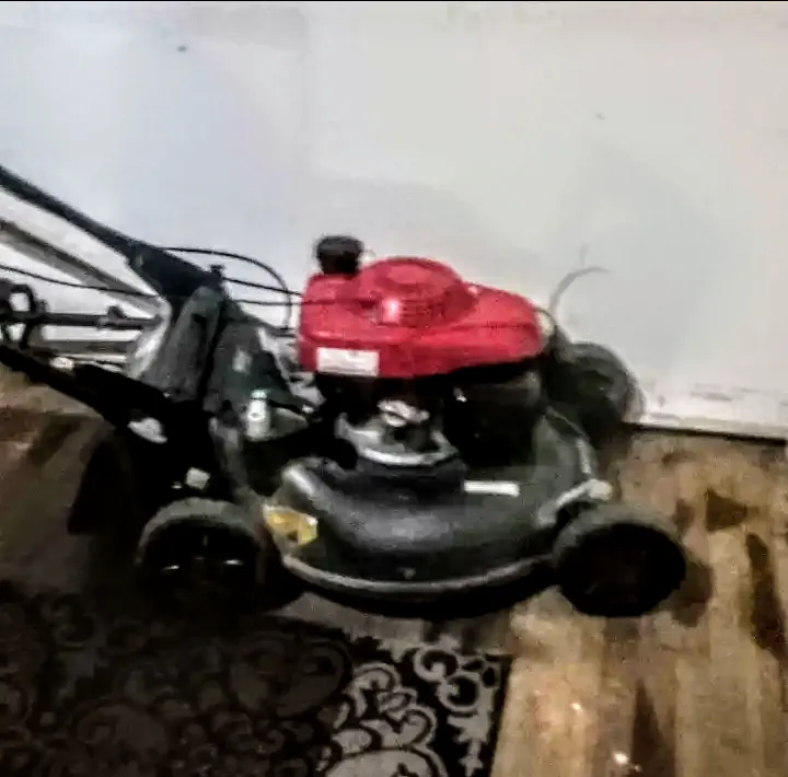 Reliable landscape design for year-round maintenance across Ralls, TX - Mike's Cutting Edge Lawn Care And Services