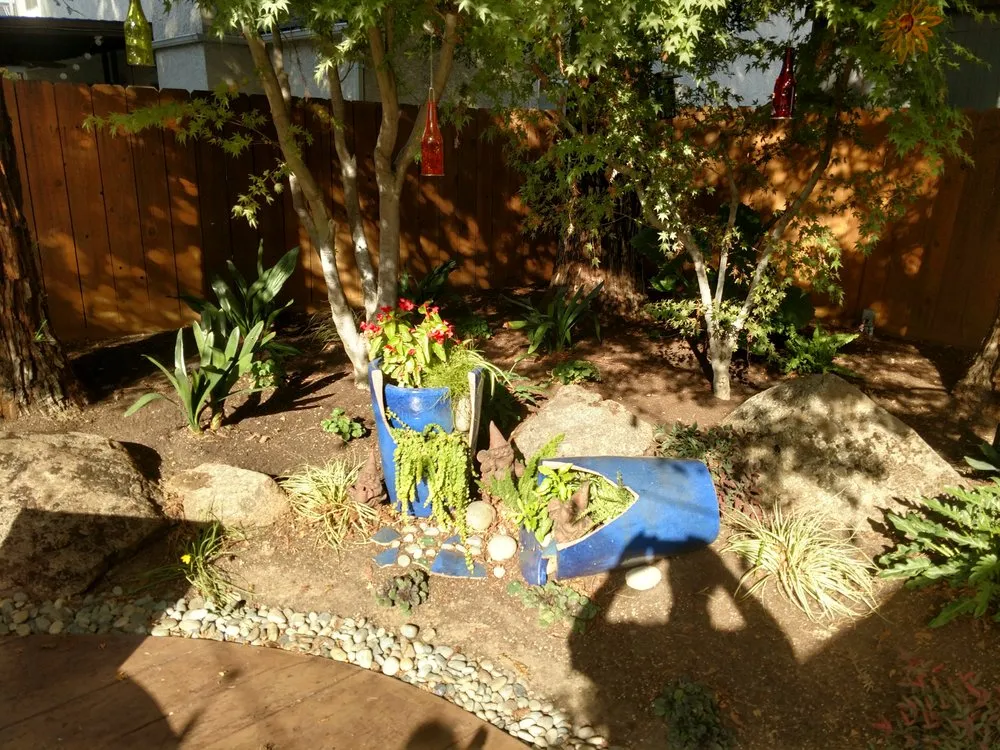 Top-rated lawn care service near you in Clovis, CA by Mike's Evergreen