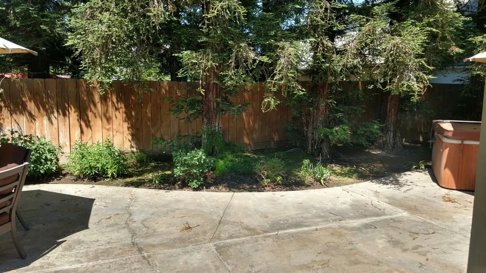 Local lawn care service with custom design in Clovis, CA by Mike's Evergreen