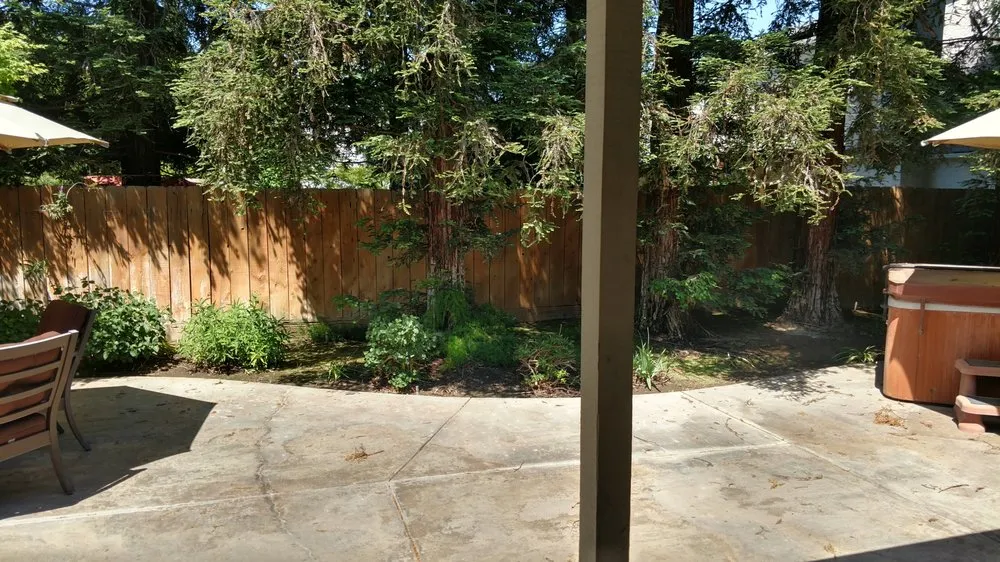 Trusted yard cleanup service with custom design in Clovis, CA by Mike's Evergreen