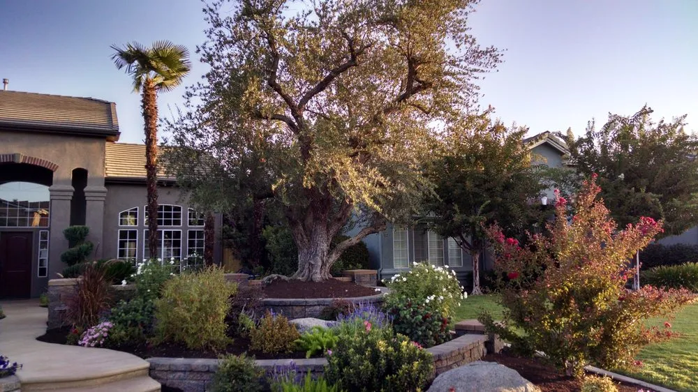 Top-rated residential landscaping in Clovis, CA - Mike's Evergreen