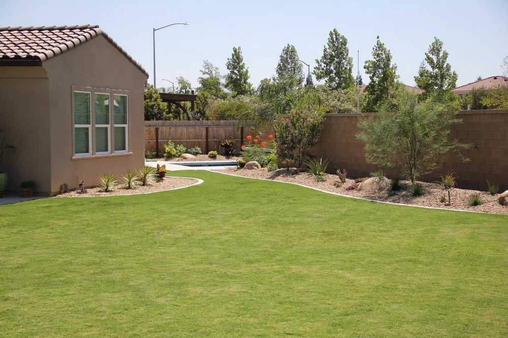 Reliable yard cleanup service near you in Clovis, CA by Mike's Evergreen