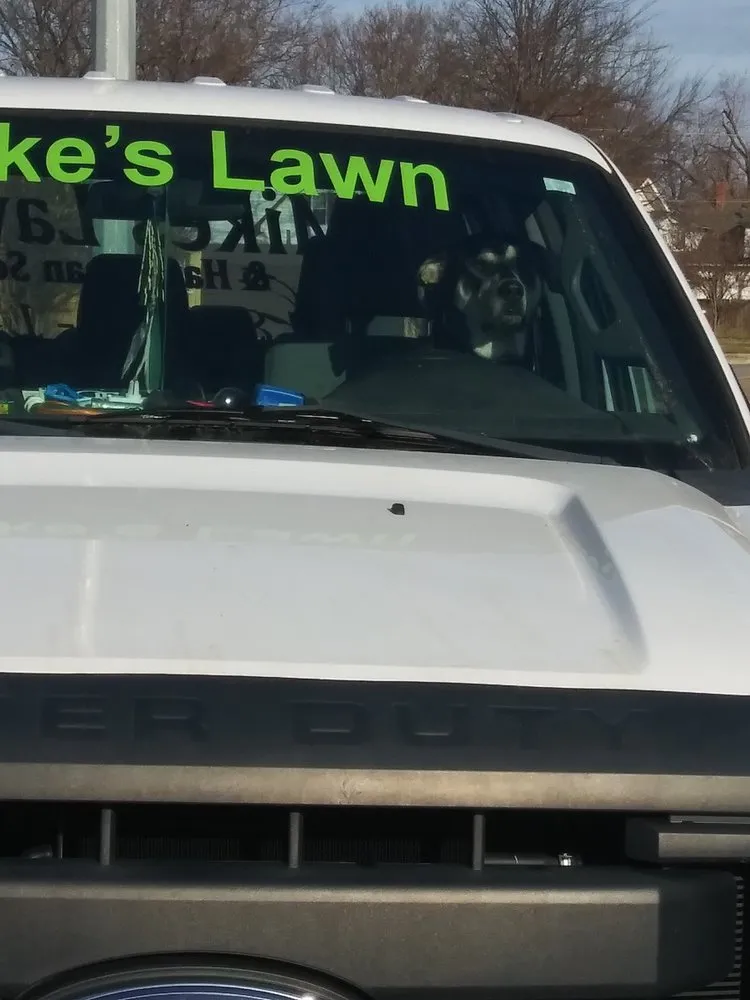 Affordable yard cleanup service in Sapulpa, OK by Mike's Flower Bed Cleaning