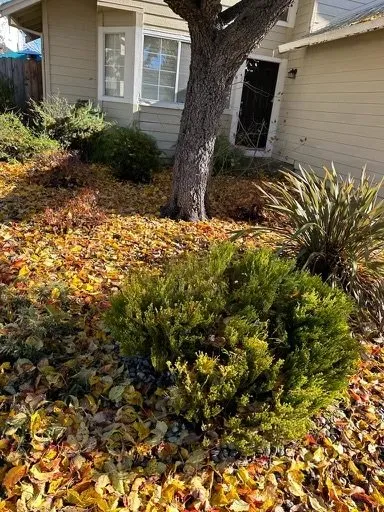 Trusted residential landscaping experts serving American Canyon, CA - Mike's Gardening Service