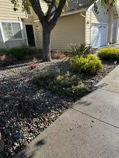 Top-rated yard maintenance for year-round maintenance in American Canyon, CA by Mike's Gardening Service