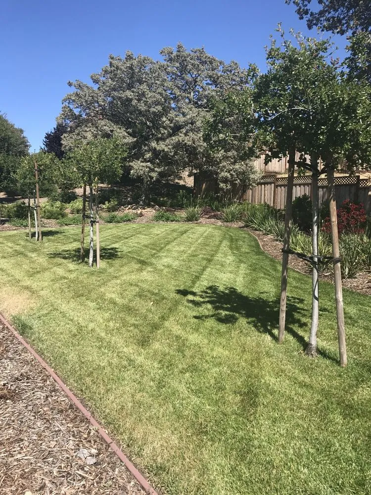 Custom landscape installation for residential properties across American Canyon, CA - Mike's Gardening Service