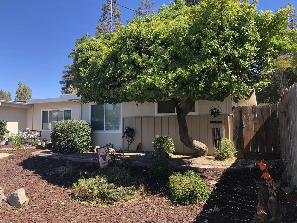 Custom residential landscaping for residential properties across American Canyon, CA - Mike's Gardening Service