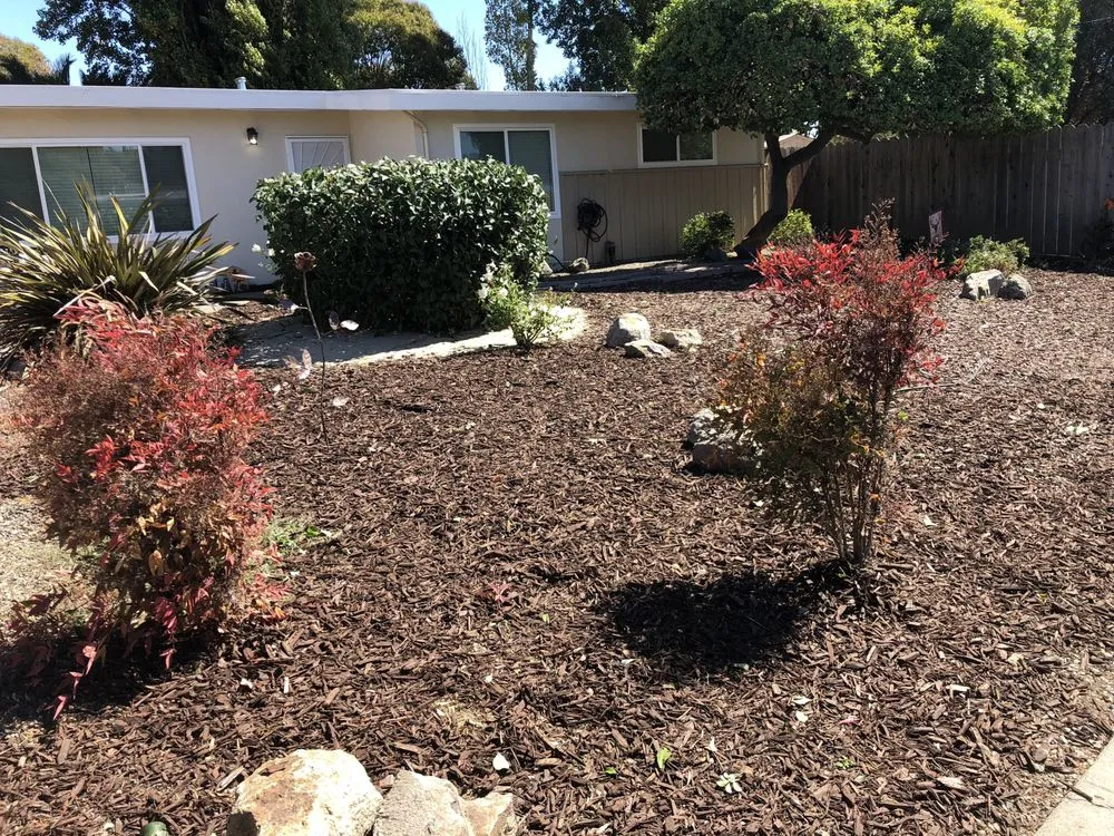 Custom lawn mowing service in American Canyon, CA by Mike's Gardening Service