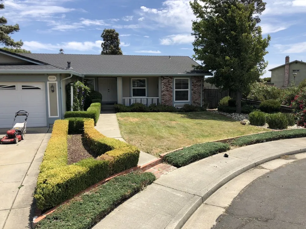 Affordable landscaping services with custom design across American Canyon, CA - Mike's Gardening Service