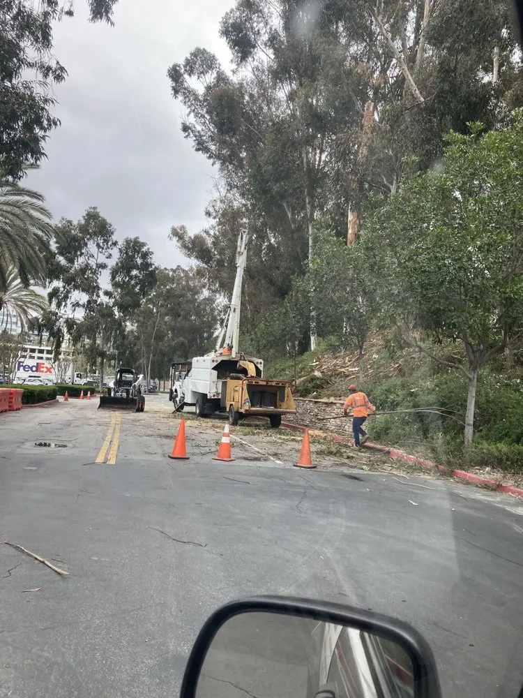 Expert landscape design with custom design in Mission Viejo, CA by Mike's gardens