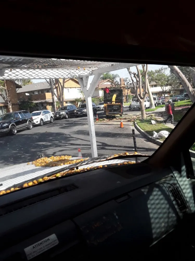 Affordable lawn mowing service near you in Mission Viejo, CA by Mike's gardens