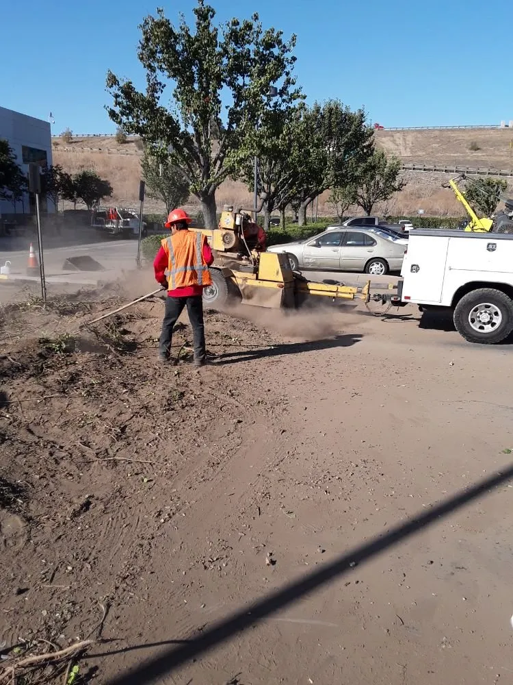 Top-rated lawn mowing service experts serving Mission Viejo, CA - Mike's gardens