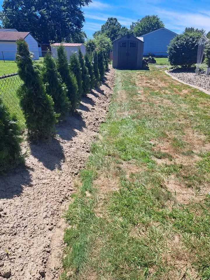 Affordable lawn mowing service in Warren, OH - Mike's General Services