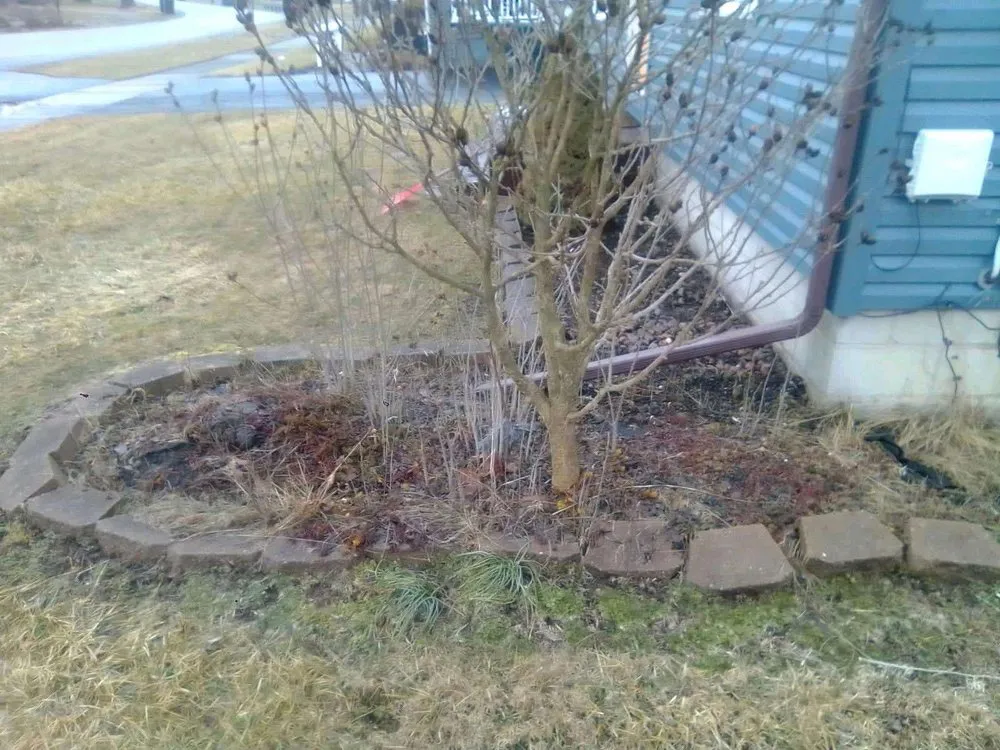 Local outdoor landscaping in Warren, OH by Mike's General Services