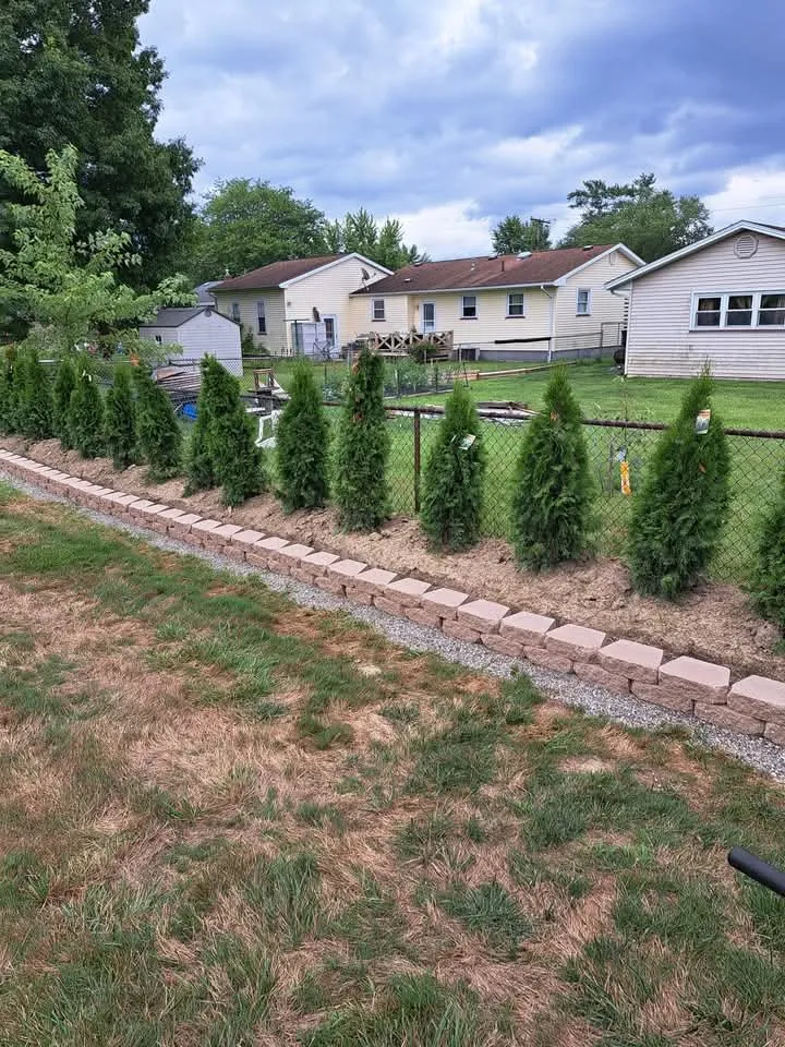 Professional landscaping services in Warren, OH - Mike's General Services