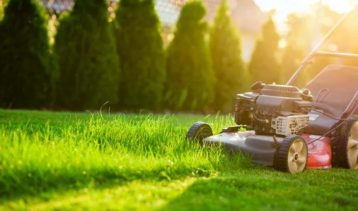 Affordable yard cleanup service experts serving Plum, PA - Mikes Grass and Treasure