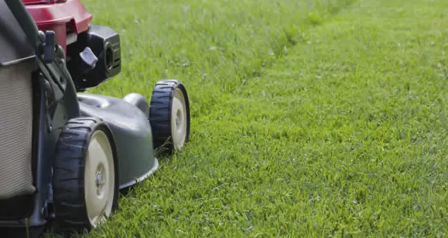 Affordable garden landscaping for year-round maintenance across Plum, PA - Mikes Grass and Treasure