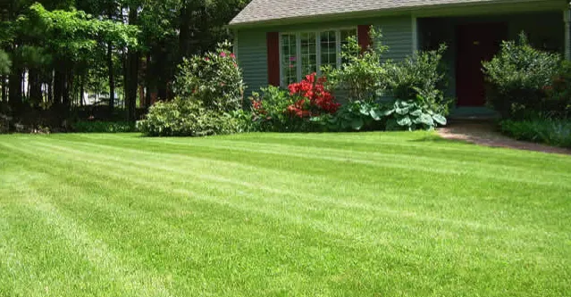 Reliable yard cleanup service for outdoor upgrades in Plum, PA by Mikes Grass and Treasure