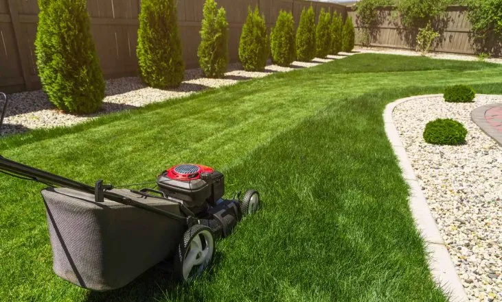 Local landscape installation for outdoor upgrades in Plum, PA by Mikes Grass and Treasure