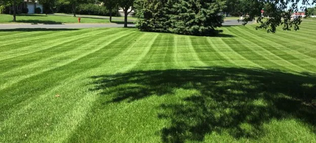 Professional garden landscaping in Plum, PA - Mikes Grass and Treasure
