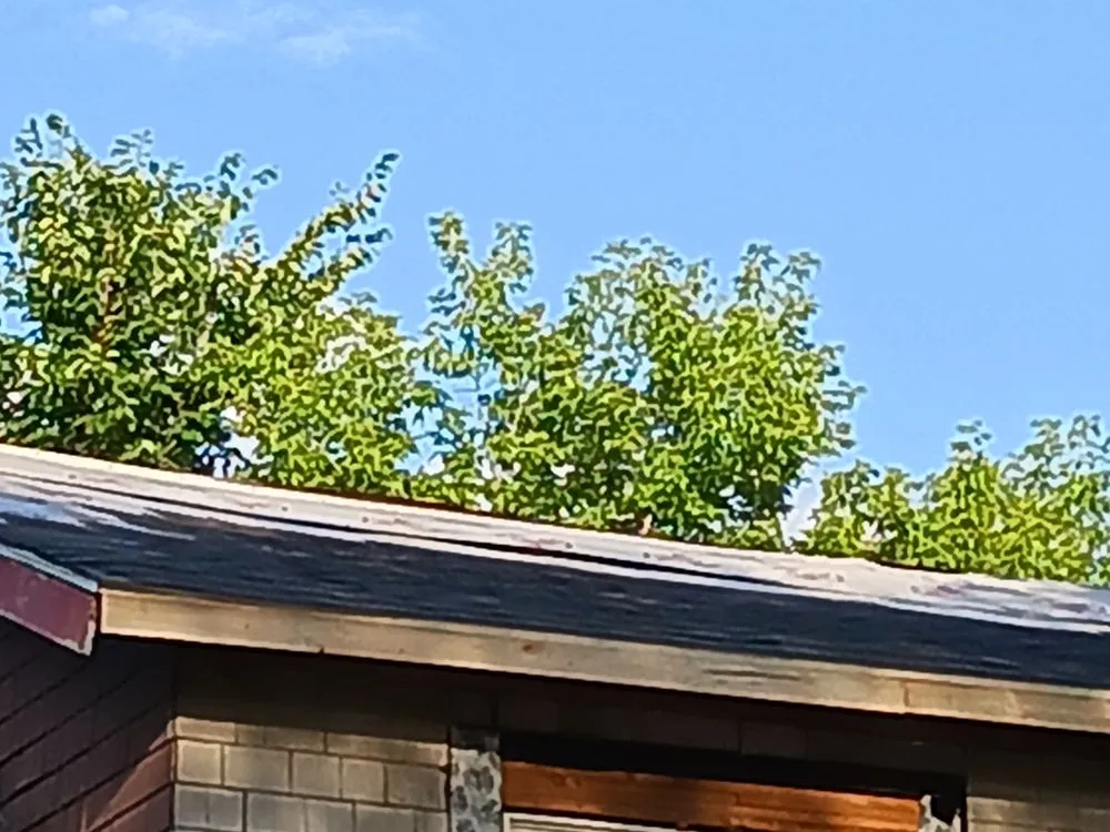 Top-rated lawn mowing service near you in Hamtramck, MI by Mike's Grass Seed