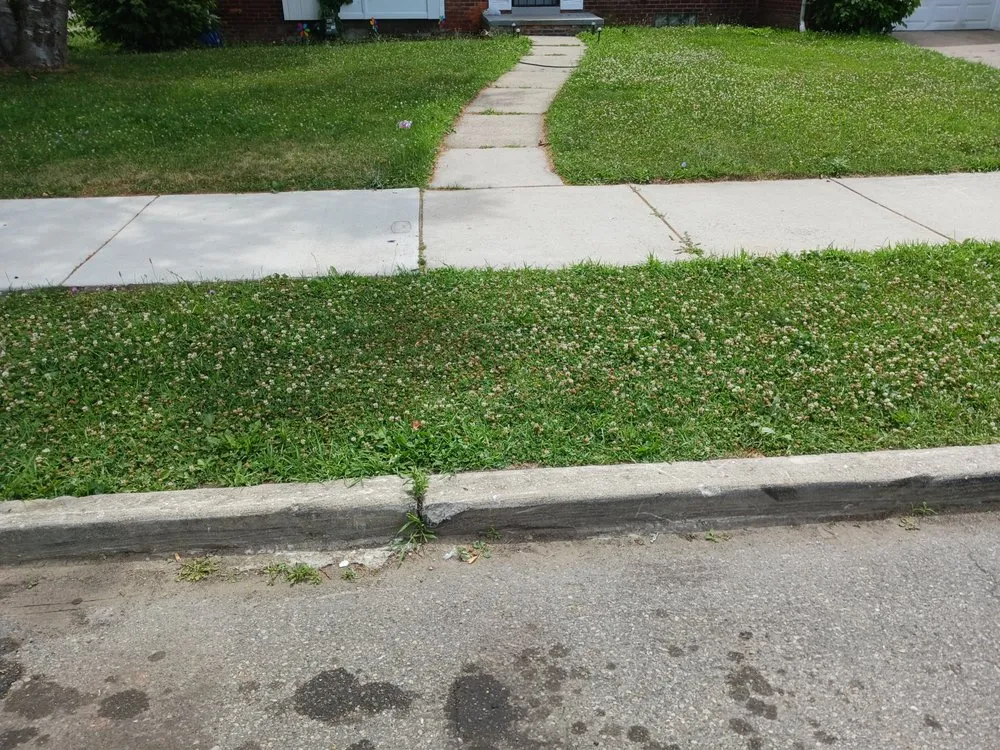 Affordable residential landscaping experts serving Hamtramck, MI - Mike's Grass Seed