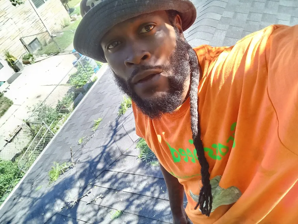 Affordable residential landscaping with custom design across Hamtramck, MI - Mike's Grass Seed