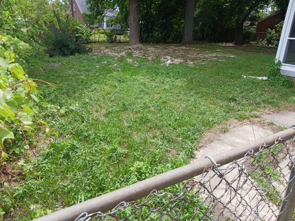 Affordable yard cleanup service for homes across Hamtramck, MI - Mike's Grass Seed
