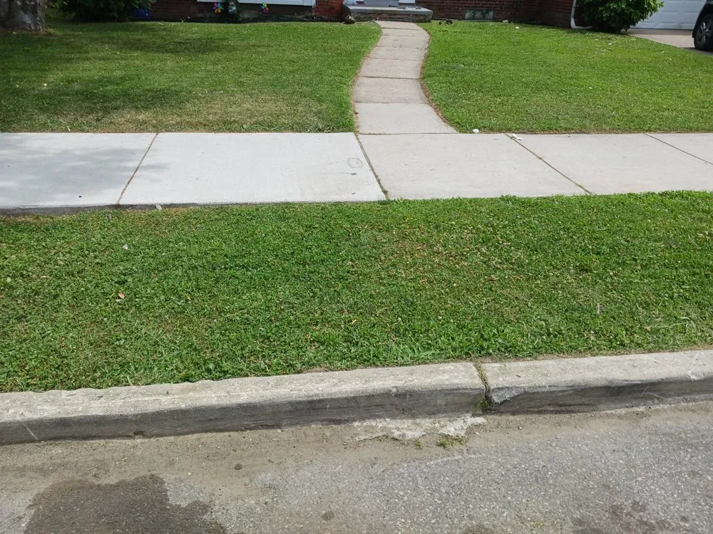 Local landscape installation in Hamtramck, MI by Mike's Grass Seed