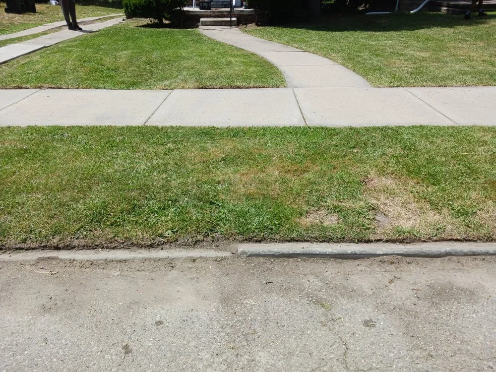 Expert landscaping services experts serving Hamtramck, MI - Mike's Grass Seed