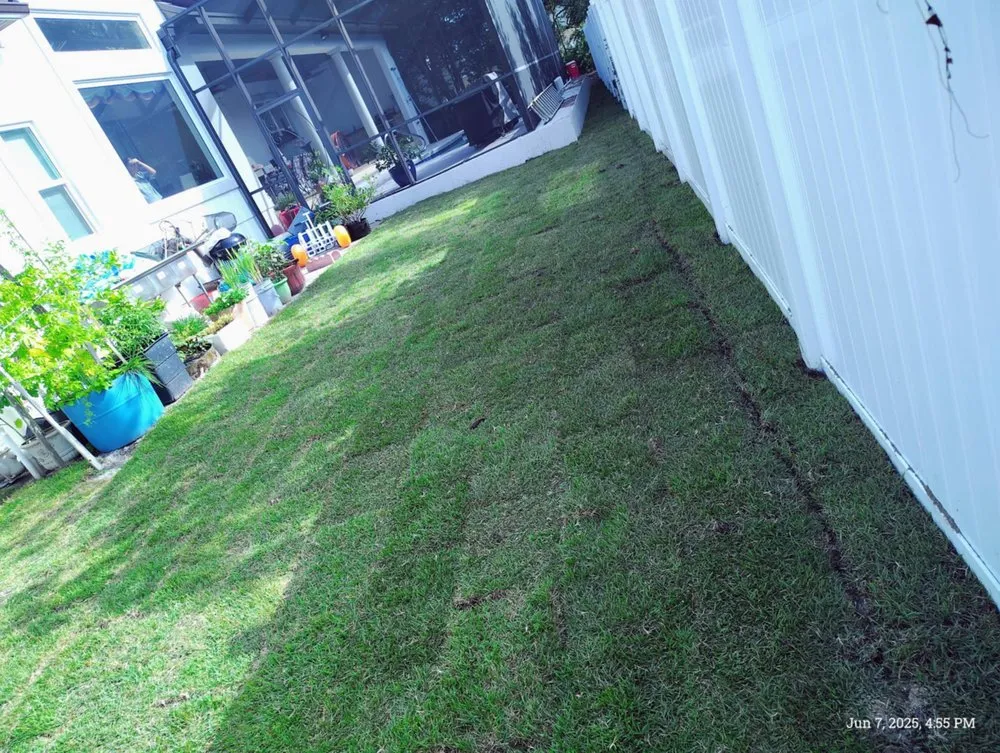 Professional landscaping services for year-round maintenance across Panama City Beach, FL - Mike's Handyman Services and Landscaping