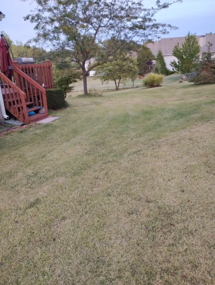 Affordable garden landscaping experts serving Excelsior Springs, MO - Mikes Handyman Services