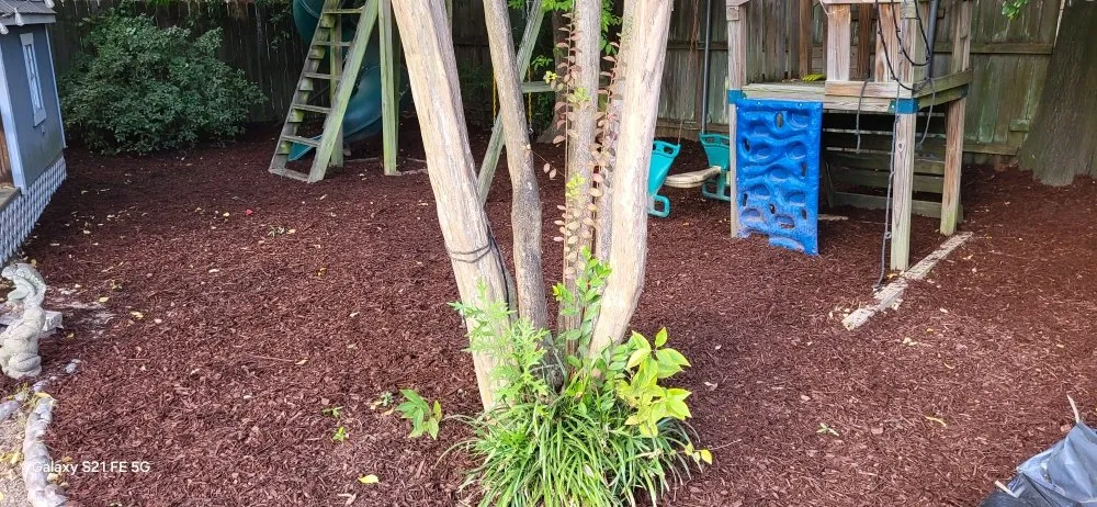 Expert yard cleanup service in Monroe, LA by Mikes Handyman Services