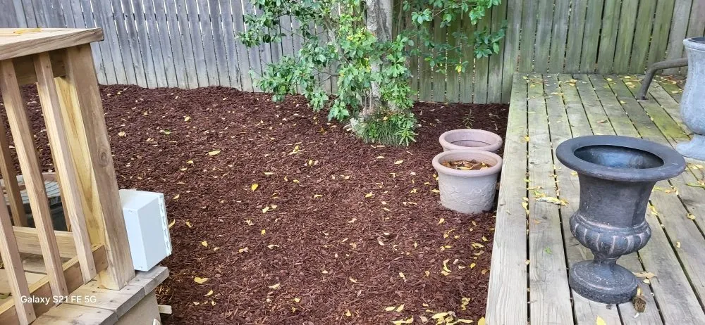 Expert landscape design experts serving Monroe, LA - Mikes Handyman Services