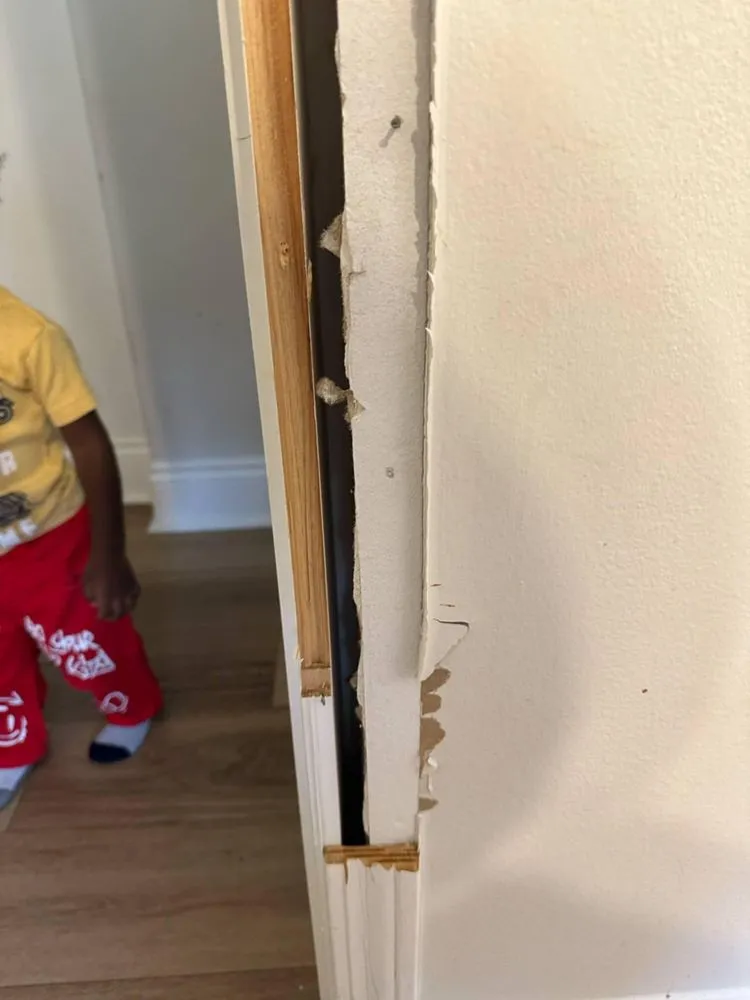 Top-rated yard maintenance experts serving Morgan City, LA - Mike's Handyman Services