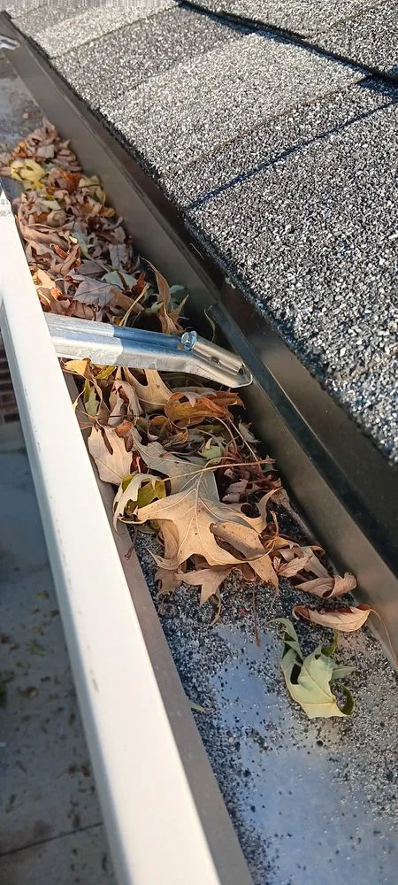 Local yard cleanup service in Harrisonville, MO by Mikes Handymanand lawn and landscape