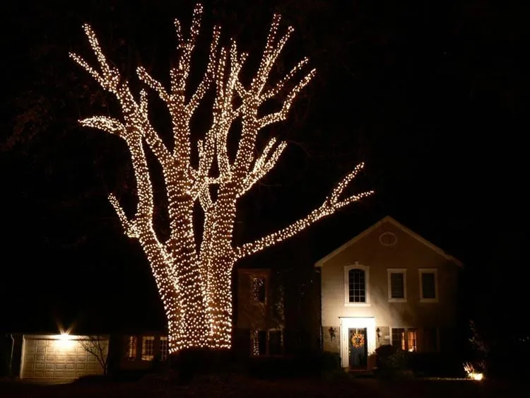 Professional lawn care service for outdoor upgrades in Bellmawr, NJ by Mike's Hardscapes