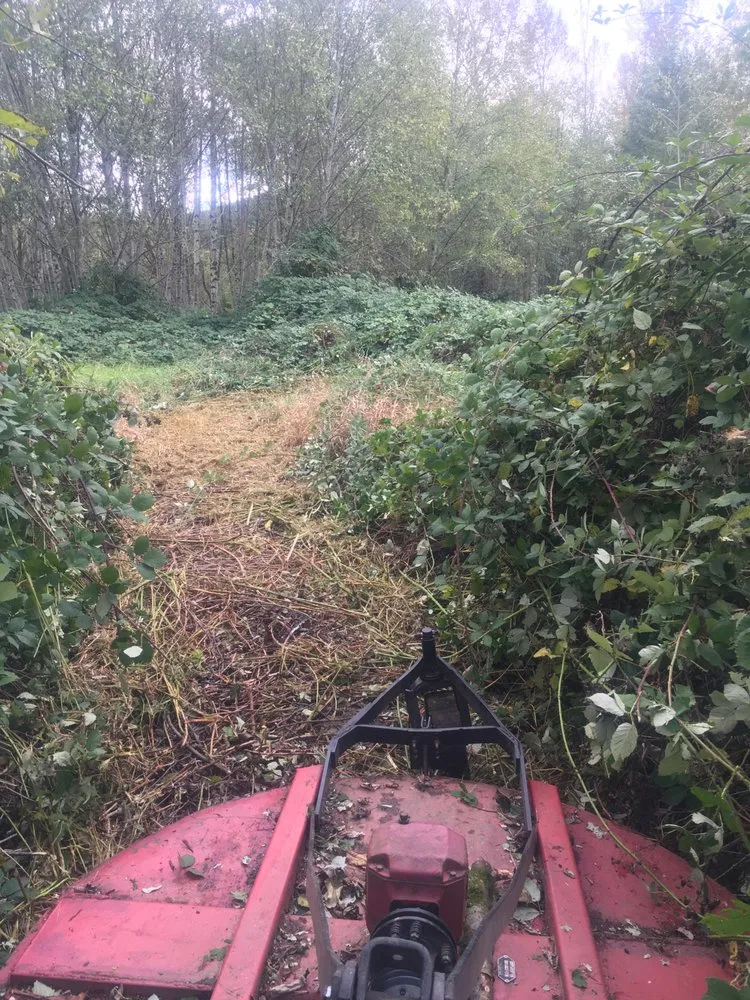 Reliable yard maintenance experts serving Issaquah, WA - Mike's Hauling & Tractor Work