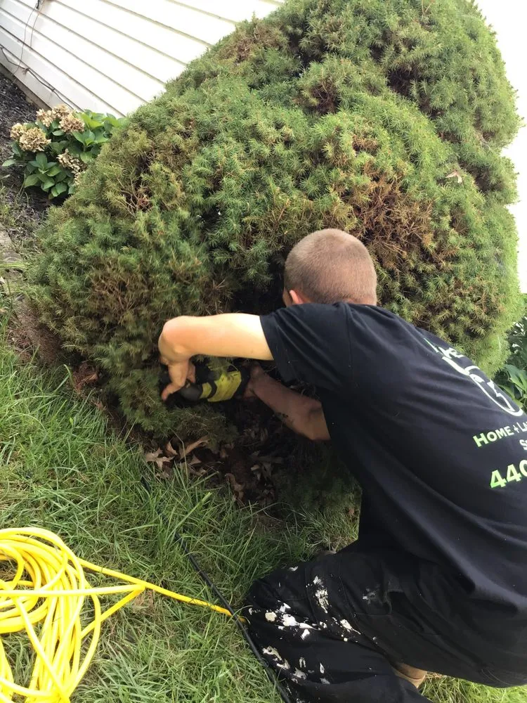 Professional landscaping services in Sheffield Lake, OH - Mike’s Home and Lawn Care Services