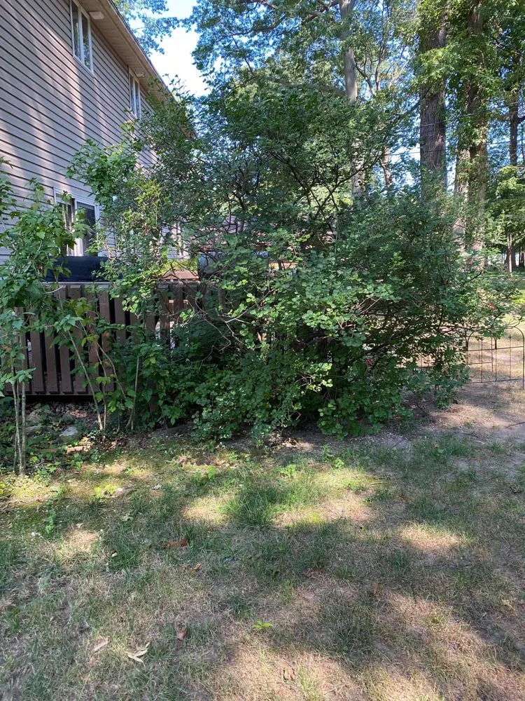 Local lawn care service for outdoor upgrades across Sheffield Lake, OH - Mike’s Home and Lawn Care Services