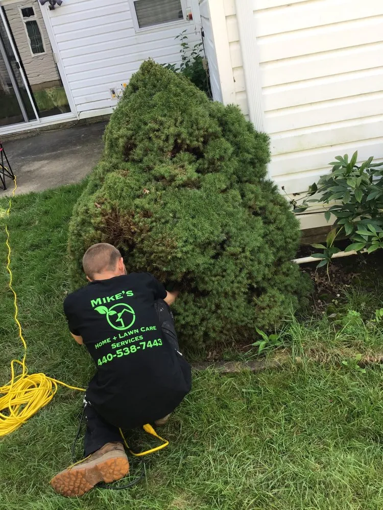 Expert lawn care service experts serving Sheffield Lake, OH - Mike’s Home and Lawn Care Services