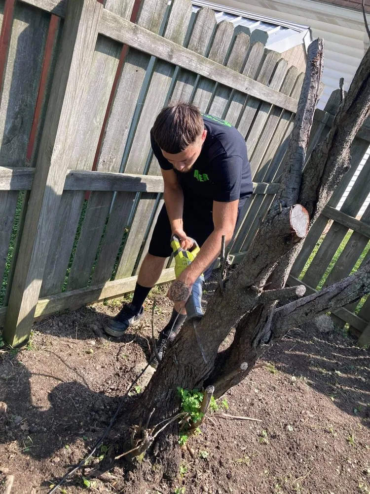 Expert lawn care service experts serving Sheffield Lake, OH - Mike’s Home and Lawn Care Services