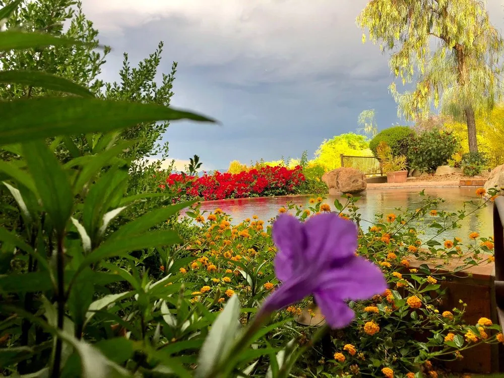 Expert landscaping services in Phoenix, AZ - Mikes Land Enhancements