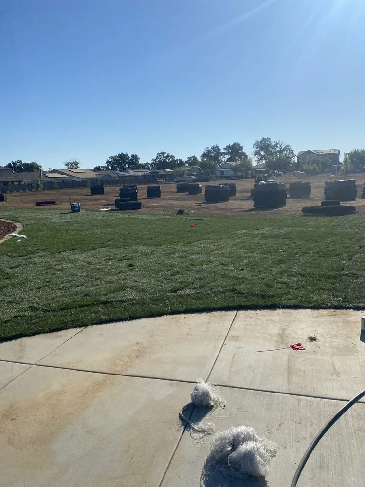 Professional yard cleanup service in Sacramento, CA - Mikes landscape