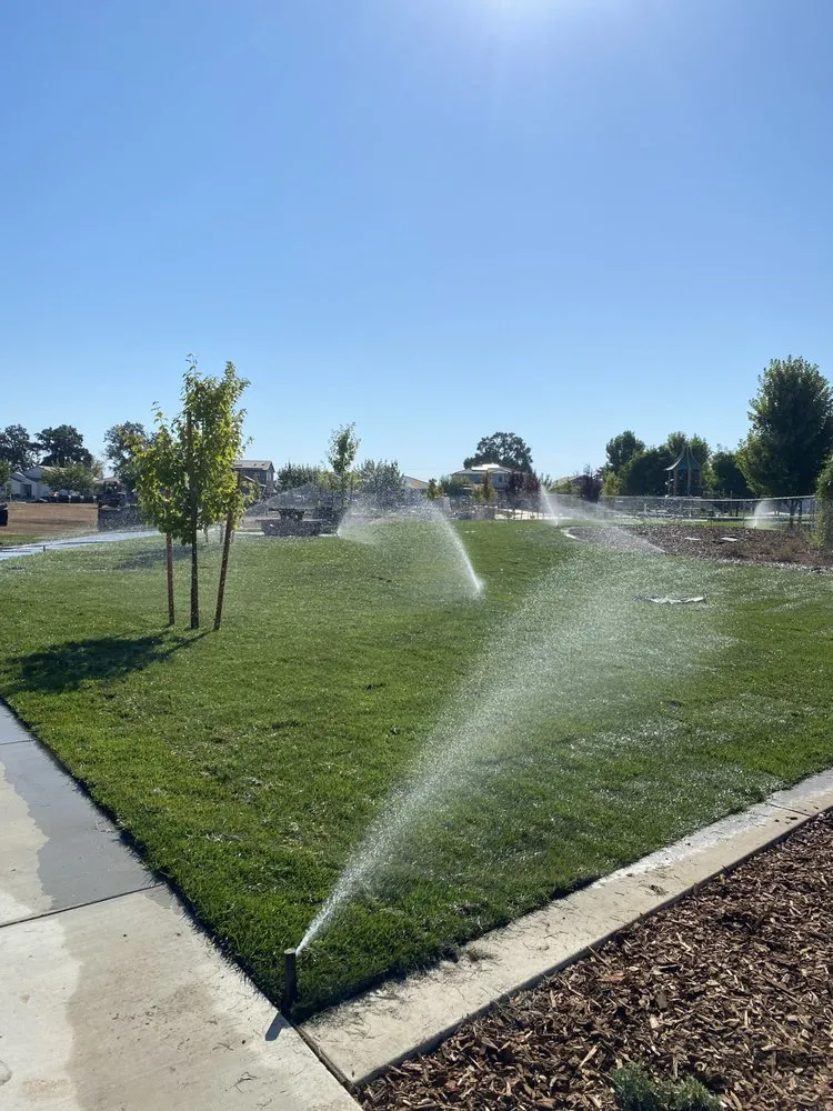 Professional residential landscaping near you in Sacramento, CA by Mikes landscape