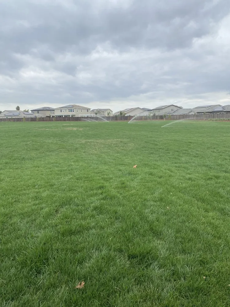 Top-rated lawn mowing service experts serving Sacramento, CA - Mikes landscape