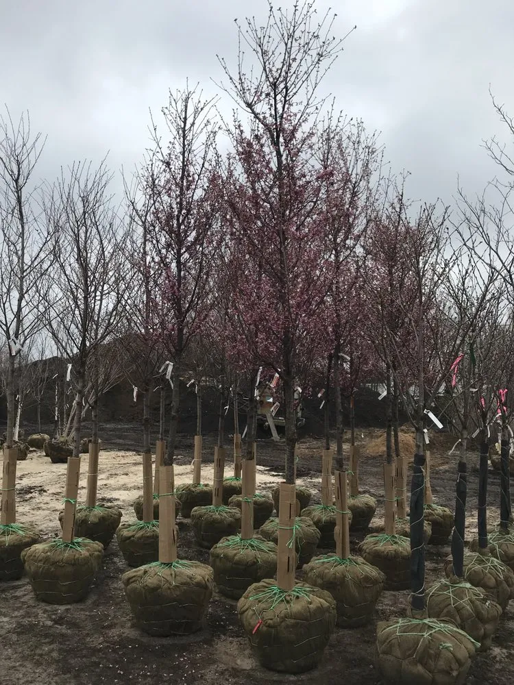 Custom residential landscaping in Long Beach, NY by Mike's Landscaping & Construction