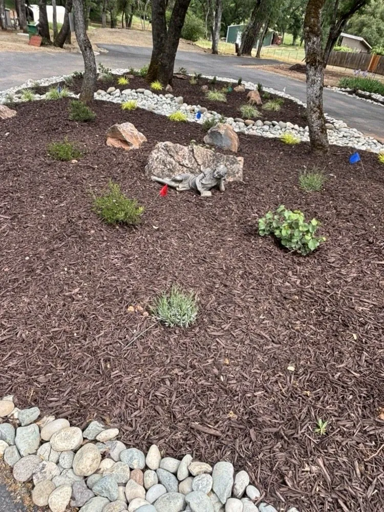 Affordable residential landscaping in Rescue, CA by Mike's Landscaping & Hardscape