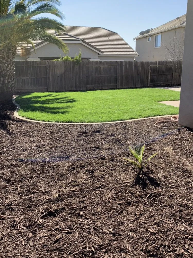 Custom landscape installation in Rescue, CA by Mike's Landscaping & Hardscape